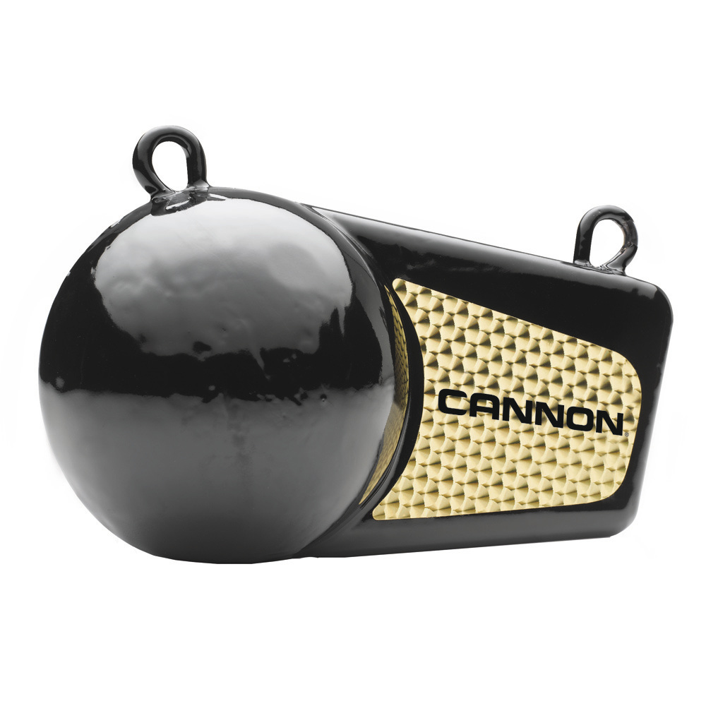 CANNON 2295002 4LB FLASH WEIGHT